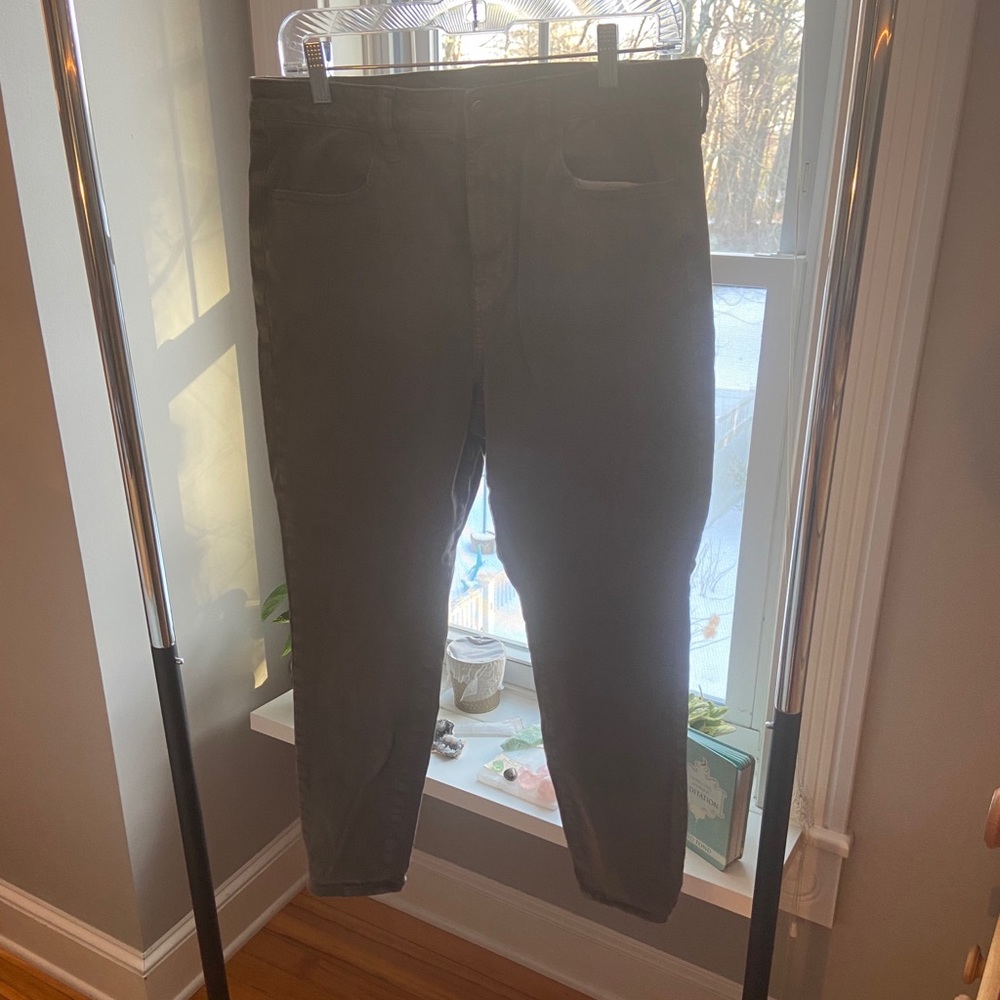 Next Level Stretch green pants
